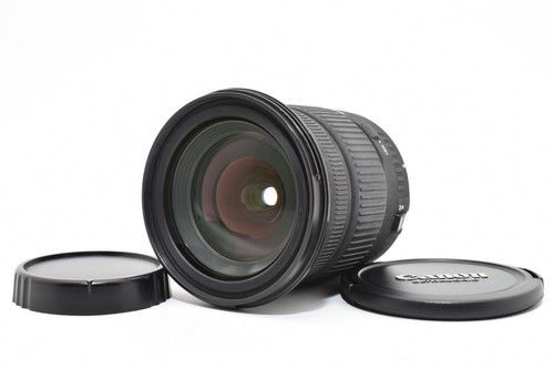 Quasi mint sigma dc - [quasi,
